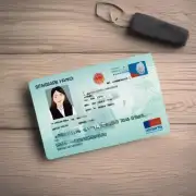 请解释新加坡签证申请的费用支付方式?