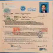 签证申请的签字内容是什么?
